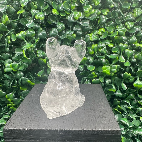 🚫SOLD🚫Clear Quartz Frenchie Dog Carving - Picture 7 of 7